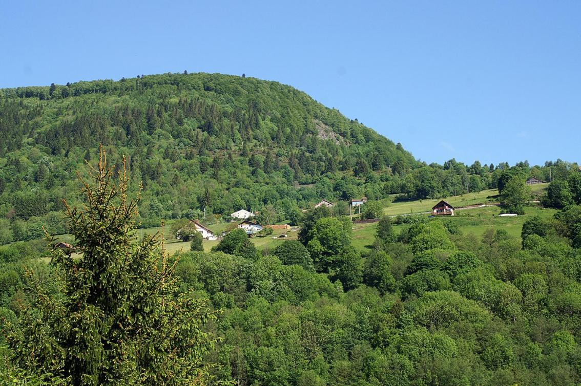 Auberge Alsacienne 뷔쌍 외부 사진
